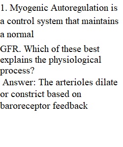 Renal system quiz 1